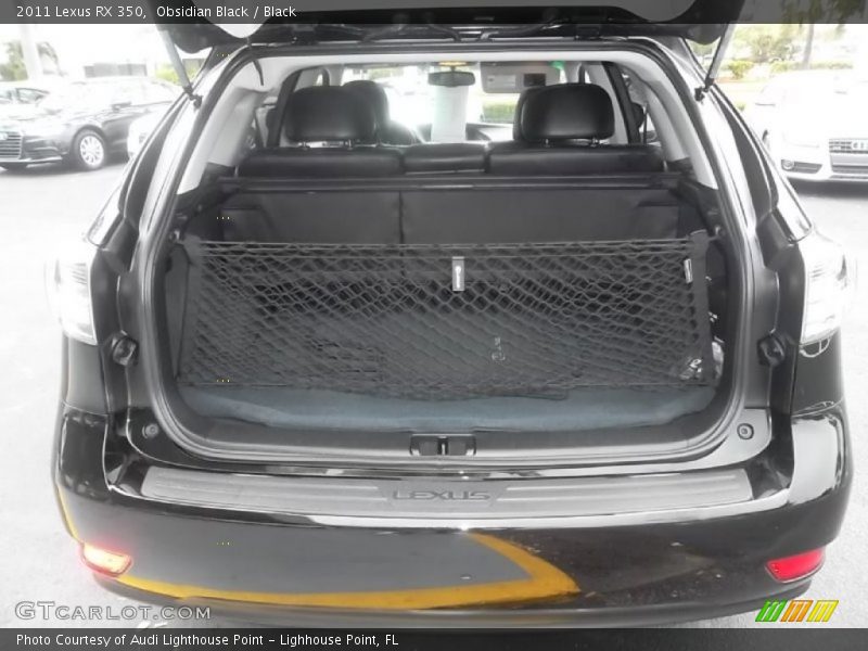  2011 RX 350 Trunk