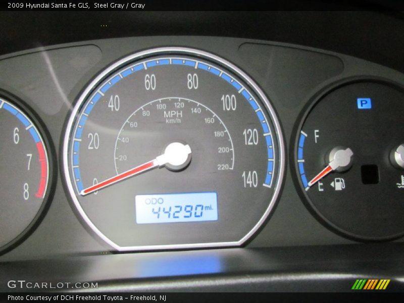 Steel Gray / Gray 2009 Hyundai Santa Fe GLS