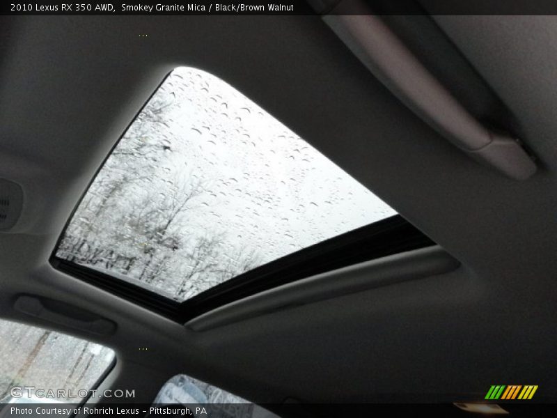 Smokey Granite Mica / Black/Brown Walnut 2010 Lexus RX 350 AWD