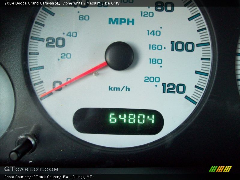 Stone White / Medium Slate Gray 2004 Dodge Grand Caravan SE