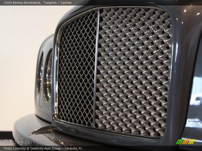 Front Grill - 2009 Bentley Brooklands 