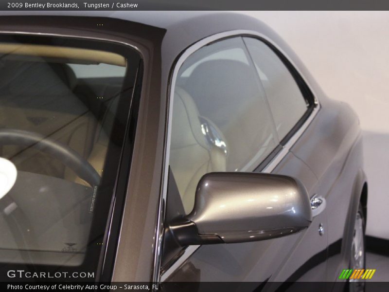 Tungsten / Cashew 2009 Bentley Brooklands