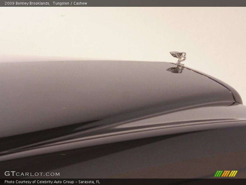 Tungsten / Cashew 2009 Bentley Brooklands