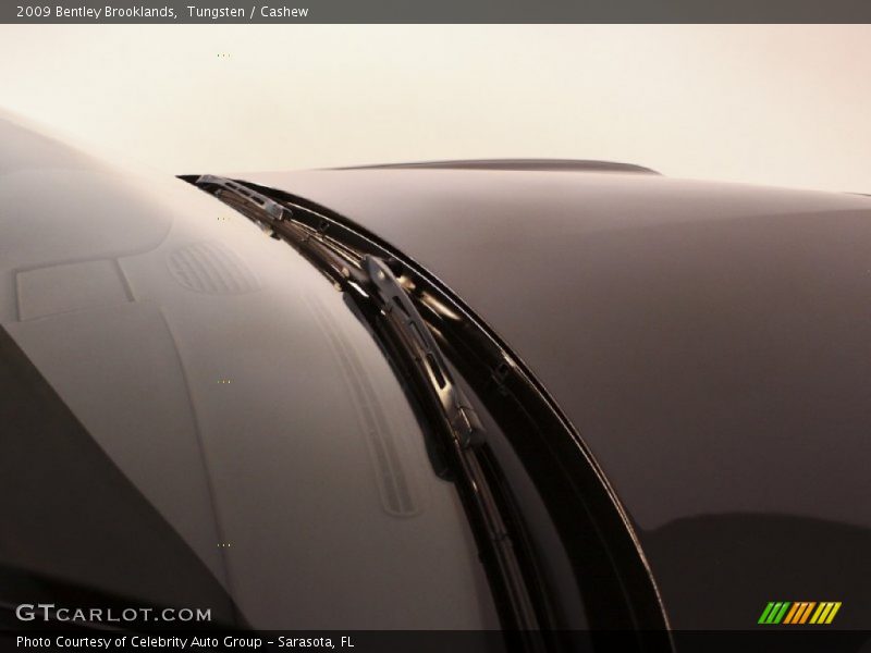 Tungsten / Cashew 2009 Bentley Brooklands