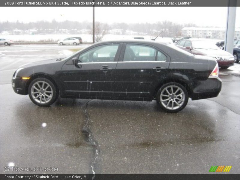  2009 Fusion SEL V6 Blue Suede Tuxedo Black Metallic