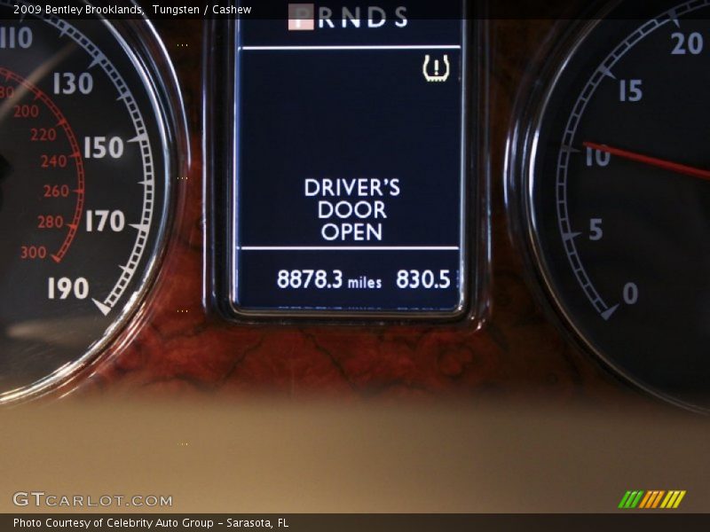 Tungsten / Cashew 2009 Bentley Brooklands
