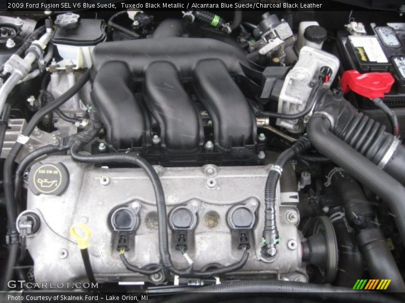  2009 Fusion SEL V6 Blue Suede Engine - 3.0 Liter DOHC 24-Valve Duratec V6