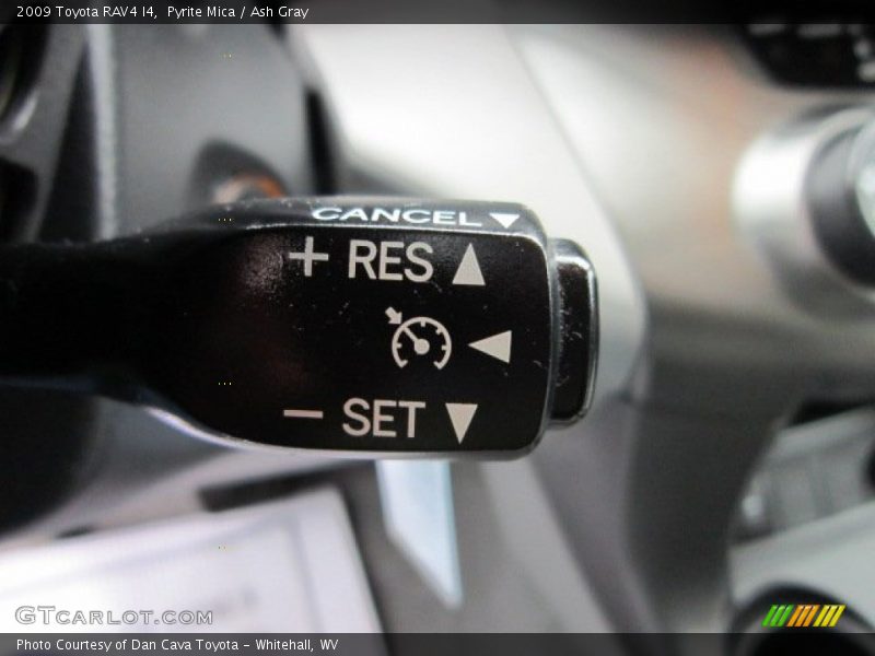 Pyrite Mica / Ash Gray 2009 Toyota RAV4 I4