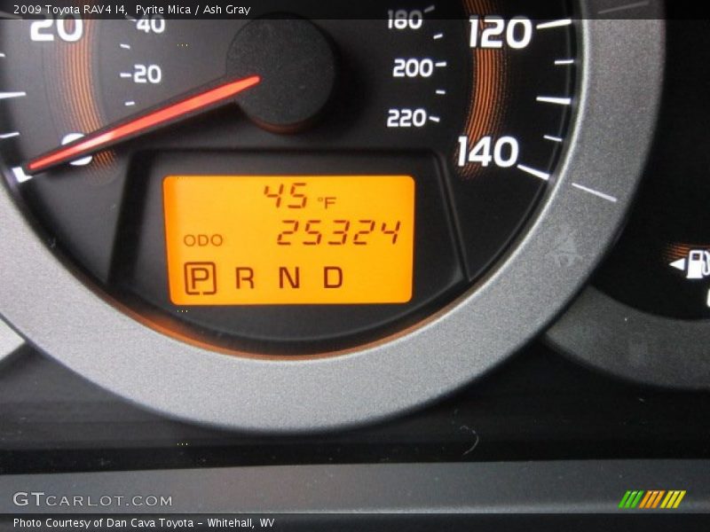 Pyrite Mica / Ash Gray 2009 Toyota RAV4 I4
