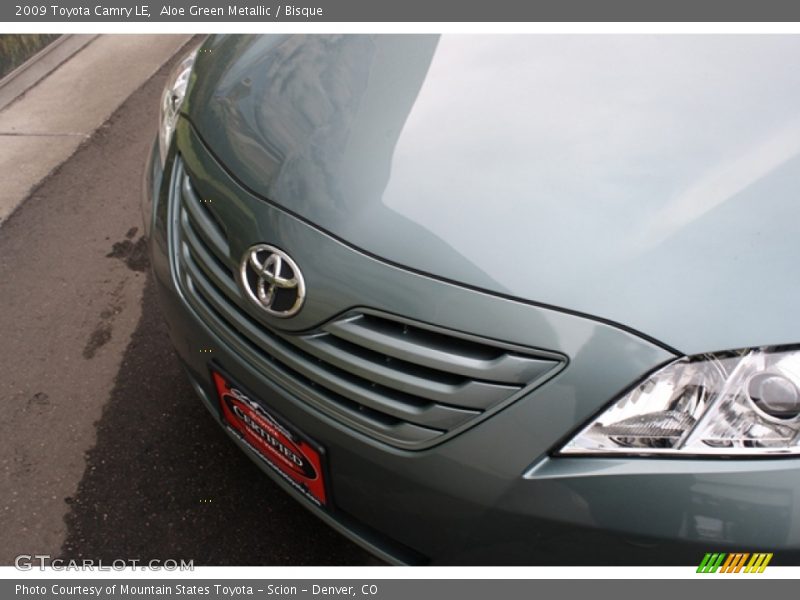Aloe Green Metallic / Bisque 2009 Toyota Camry LE