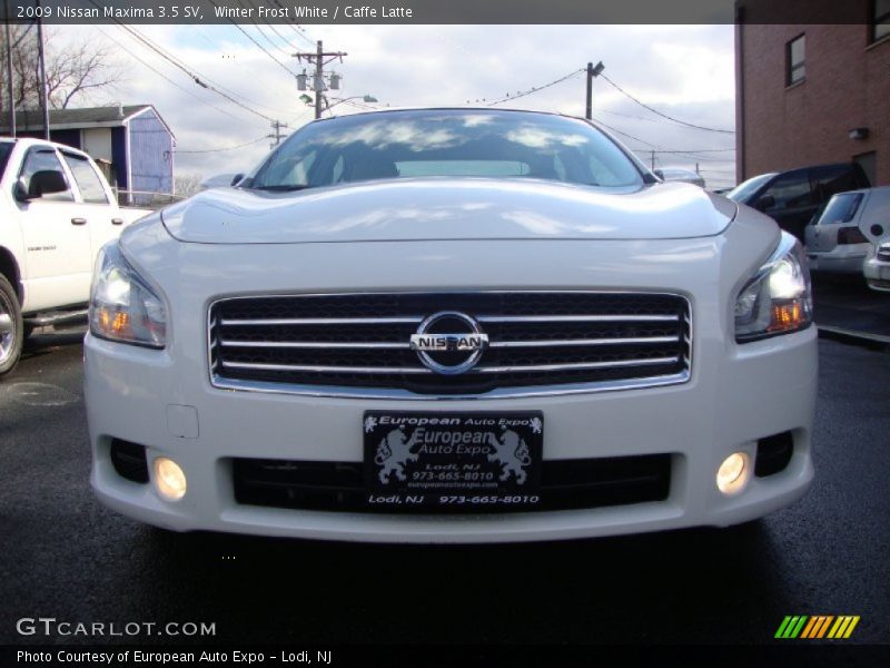 Winter Frost White / Caffe Latte 2009 Nissan Maxima 3.5 SV