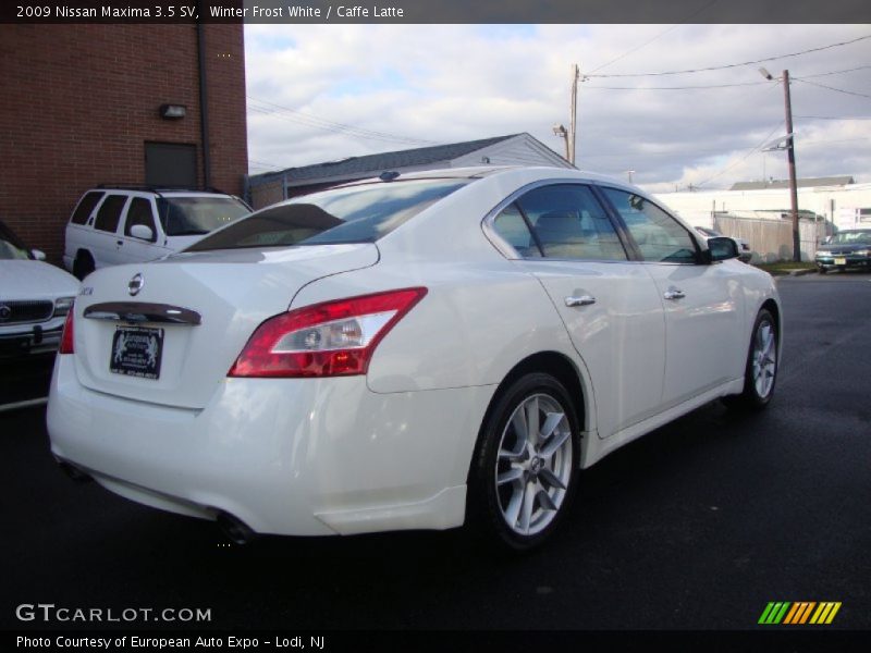 Winter Frost White / Caffe Latte 2009 Nissan Maxima 3.5 SV