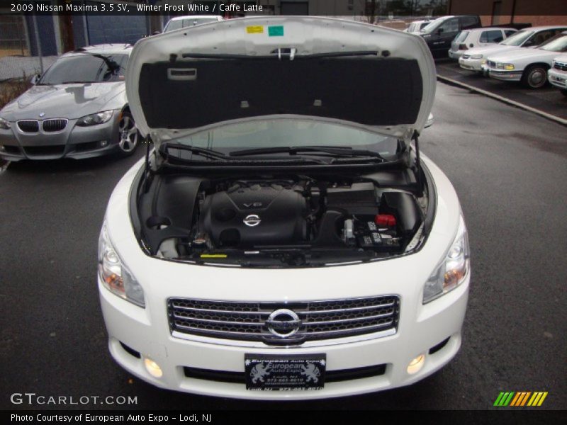 Winter Frost White / Caffe Latte 2009 Nissan Maxima 3.5 SV