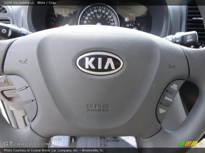 White / Gray 2006 Kia Sedona LX