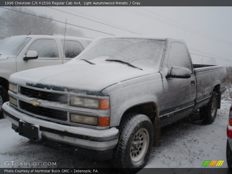 Light Autumnwood Metallic / Gray 1996 Chevrolet C/K K1500 Regular Cab 4x4