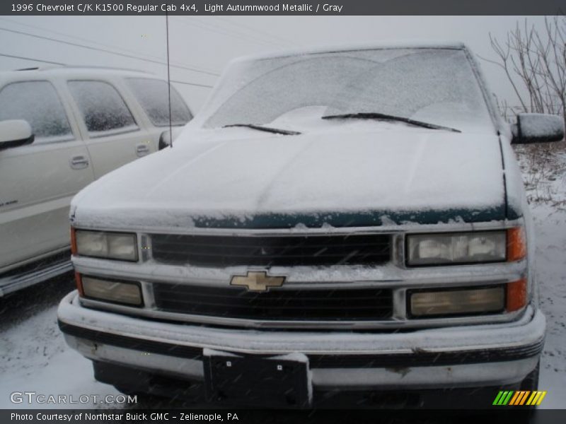 Light Autumnwood Metallic / Gray 1996 Chevrolet C/K K1500 Regular Cab 4x4