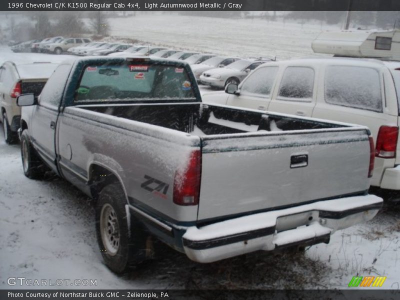 Light Autumnwood Metallic / Gray 1996 Chevrolet C/K K1500 Regular Cab 4x4