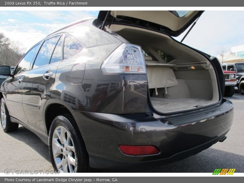Truffle Mica / Parchment 2009 Lexus RX 350