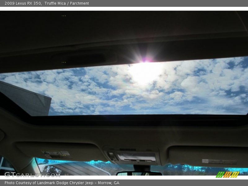 Truffle Mica / Parchment 2009 Lexus RX 350