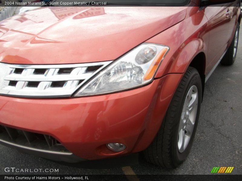 Sunlit Copper Metallic / Charcoal 2004 Nissan Murano SL