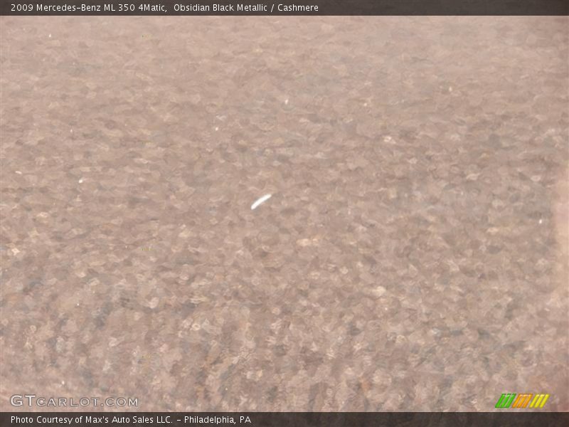 Obsidian Black Metallic / Cashmere 2009 Mercedes-Benz ML 350 4Matic