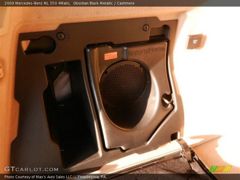 Obsidian Black Metallic / Cashmere 2009 Mercedes-Benz ML 350 4Matic