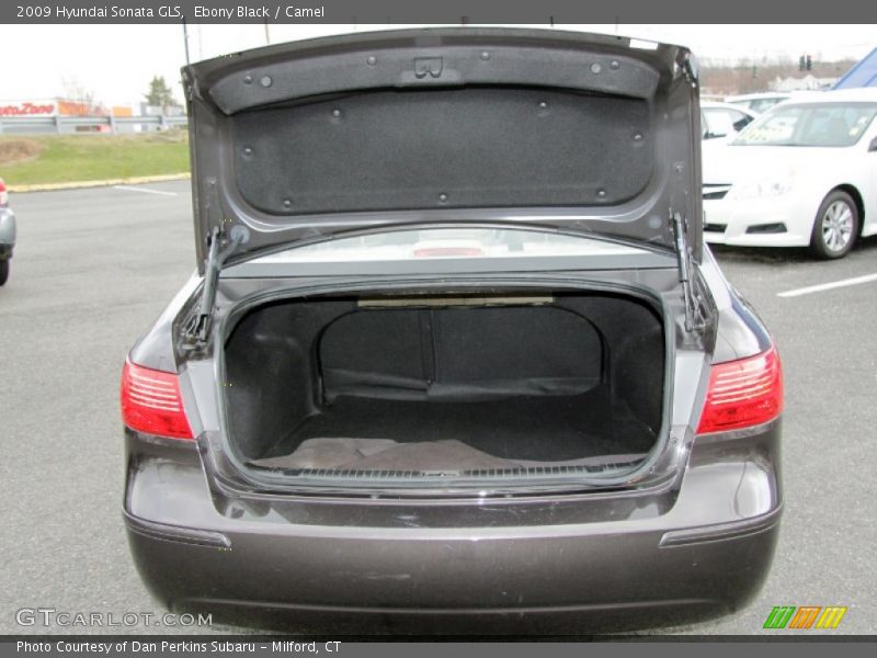 Ebony Black / Camel 2009 Hyundai Sonata GLS