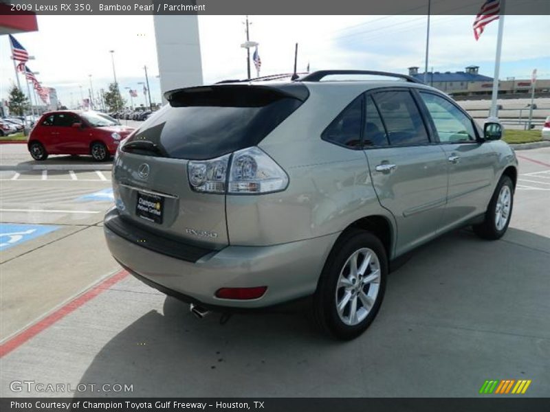 Bamboo Pearl / Parchment 2009 Lexus RX 350