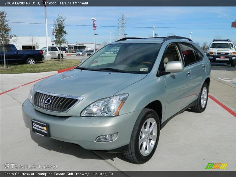 Bamboo Pearl / Parchment 2009 Lexus RX 350