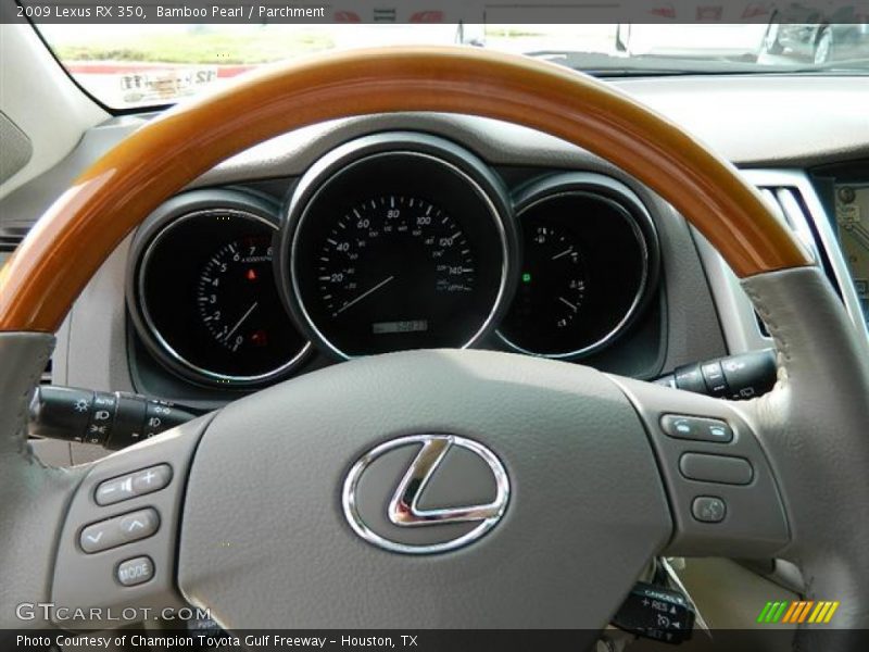 Bamboo Pearl / Parchment 2009 Lexus RX 350