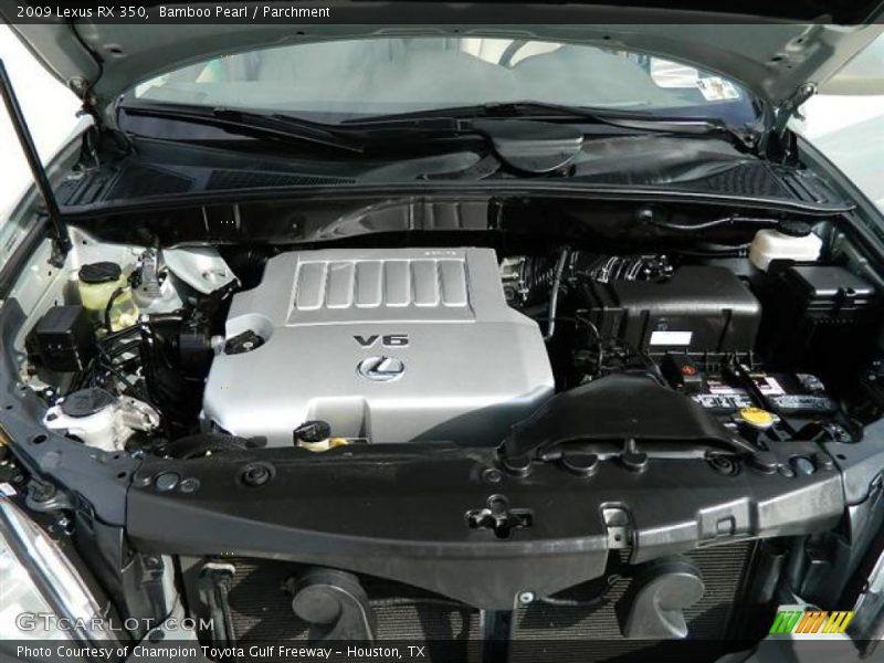 Bamboo Pearl / Parchment 2009 Lexus RX 350