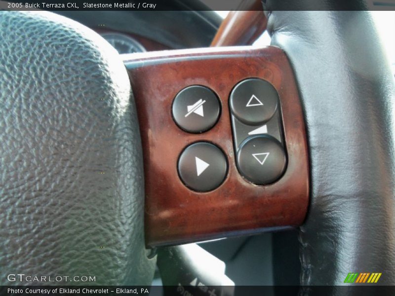 Slatestone Metallic / Gray 2005 Buick Terraza CXL