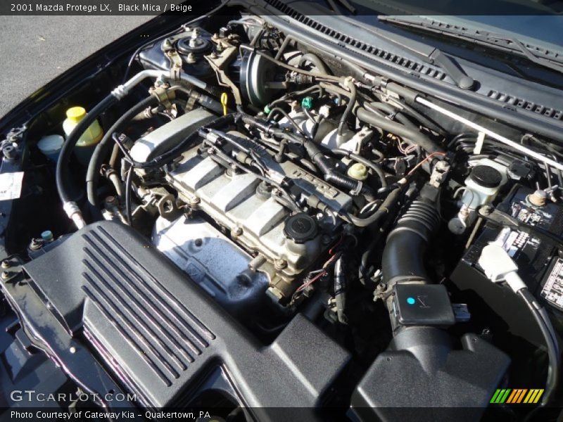 Black Mica / Beige 2001 Mazda Protege LX