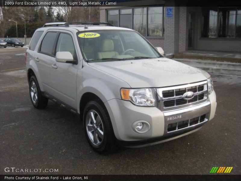 Light Sage Metallic / Camel 2009 Ford Escape Limited V6 4WD