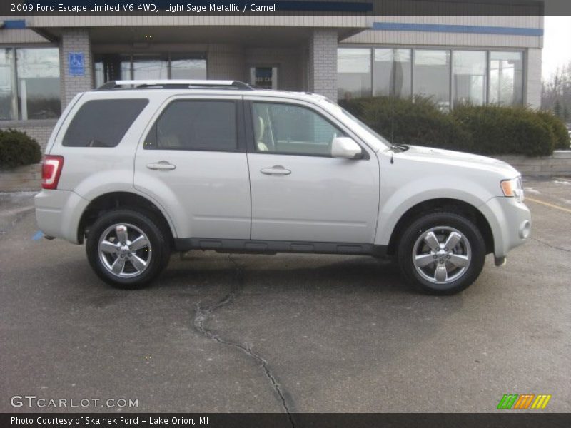 Light Sage Metallic / Camel 2009 Ford Escape Limited V6 4WD