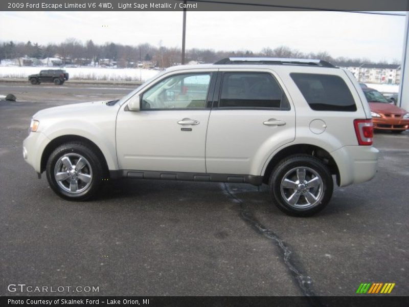 Light Sage Metallic / Camel 2009 Ford Escape Limited V6 4WD