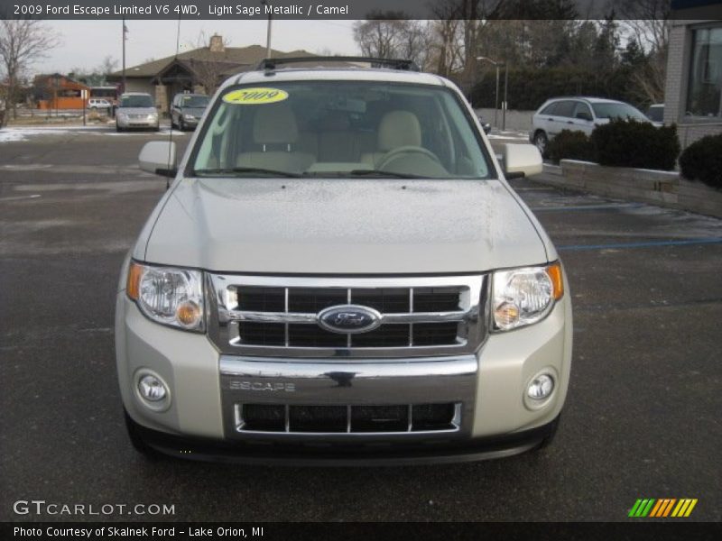 Light Sage Metallic / Camel 2009 Ford Escape Limited V6 4WD