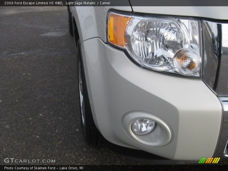 Light Sage Metallic / Camel 2009 Ford Escape Limited V6 4WD