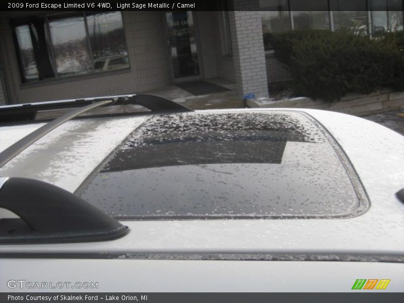 Light Sage Metallic / Camel 2009 Ford Escape Limited V6 4WD