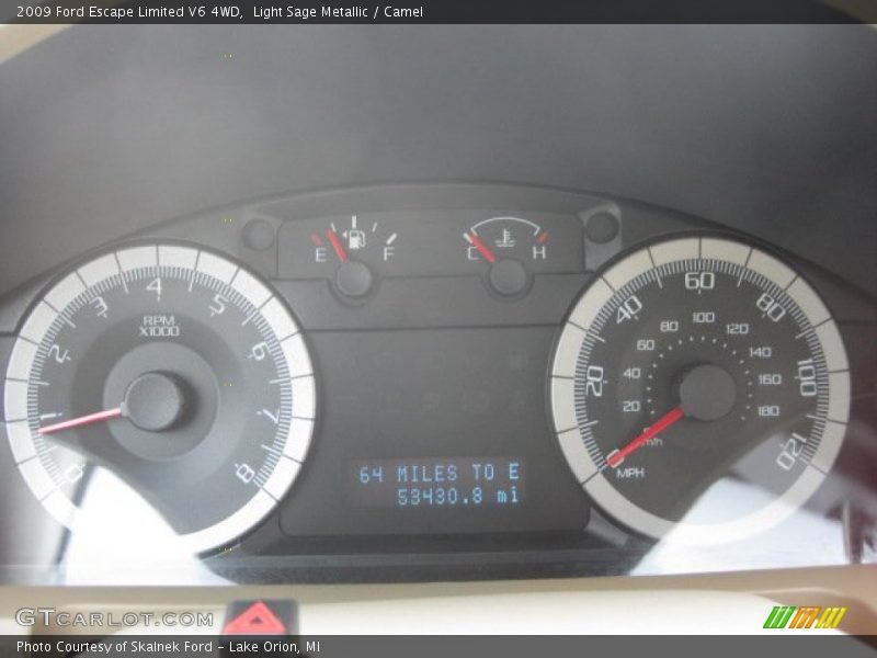 Light Sage Metallic / Camel 2009 Ford Escape Limited V6 4WD