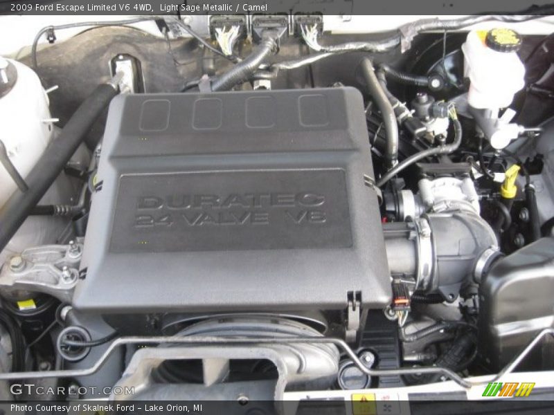 Light Sage Metallic / Camel 2009 Ford Escape Limited V6 4WD