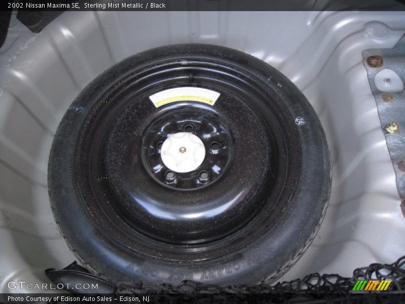 Sterling Mist Metallic / Black 2002 Nissan Maxima SE