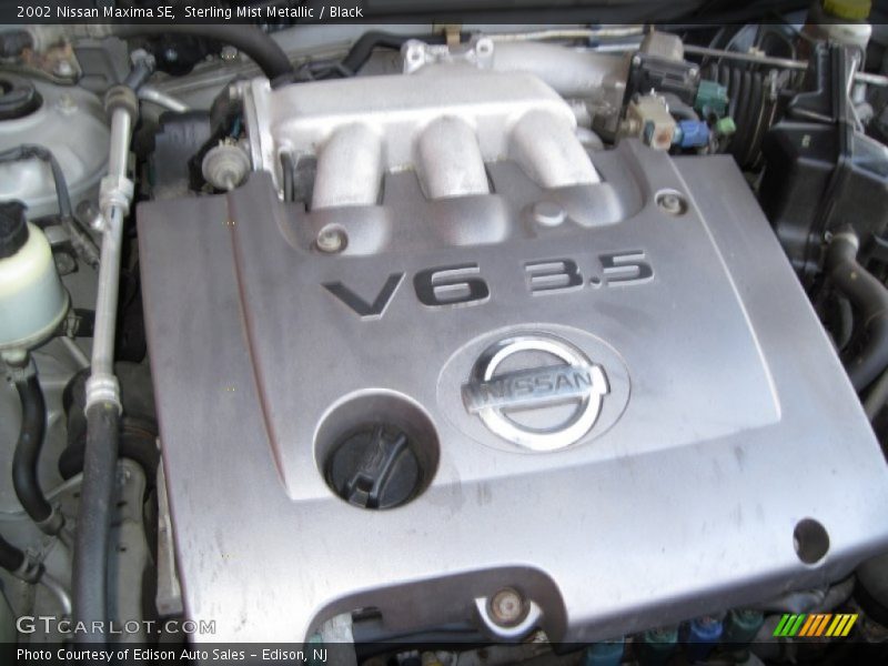 Sterling Mist Metallic / Black 2002 Nissan Maxima SE