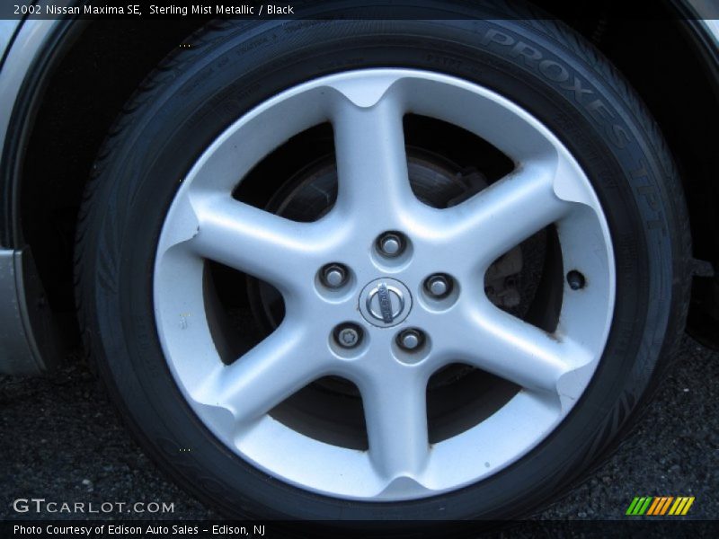Sterling Mist Metallic / Black 2002 Nissan Maxima SE