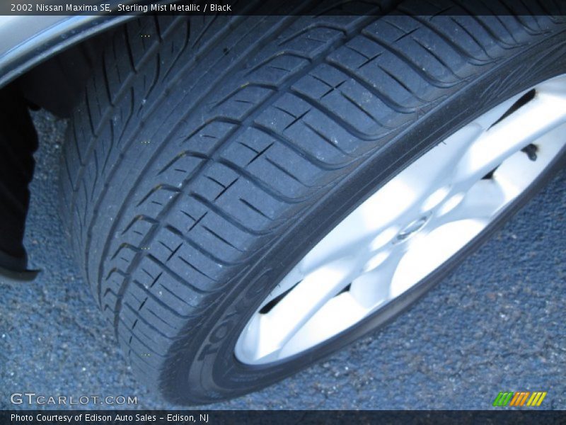 Sterling Mist Metallic / Black 2002 Nissan Maxima SE