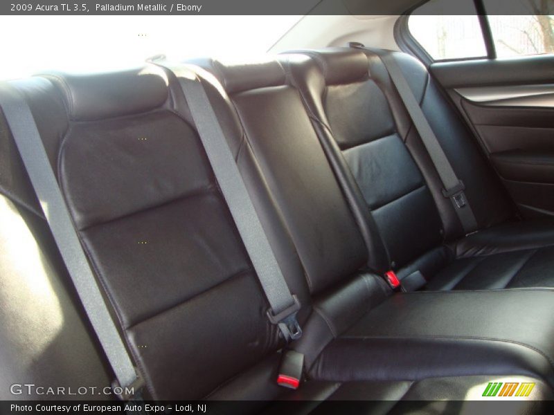 Palladium Metallic / Ebony 2009 Acura TL 3.5