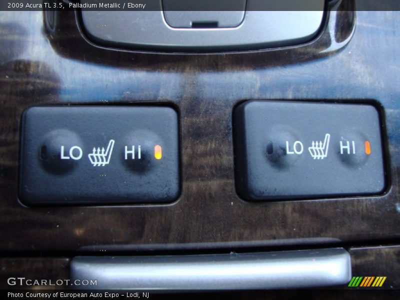 Palladium Metallic / Ebony 2009 Acura TL 3.5