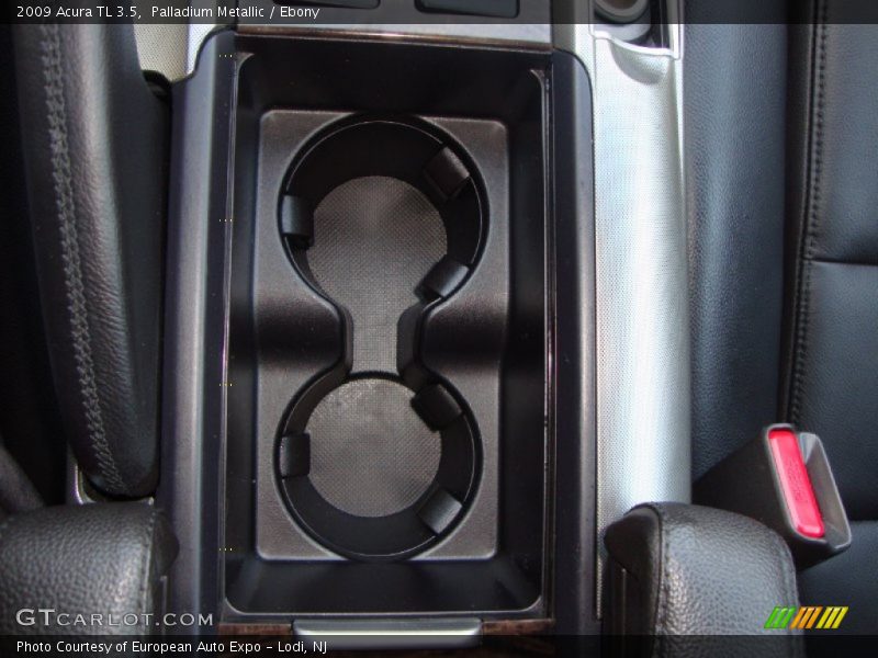 Palladium Metallic / Ebony 2009 Acura TL 3.5