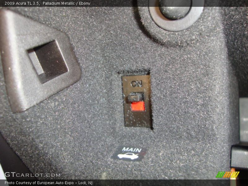 Palladium Metallic / Ebony 2009 Acura TL 3.5