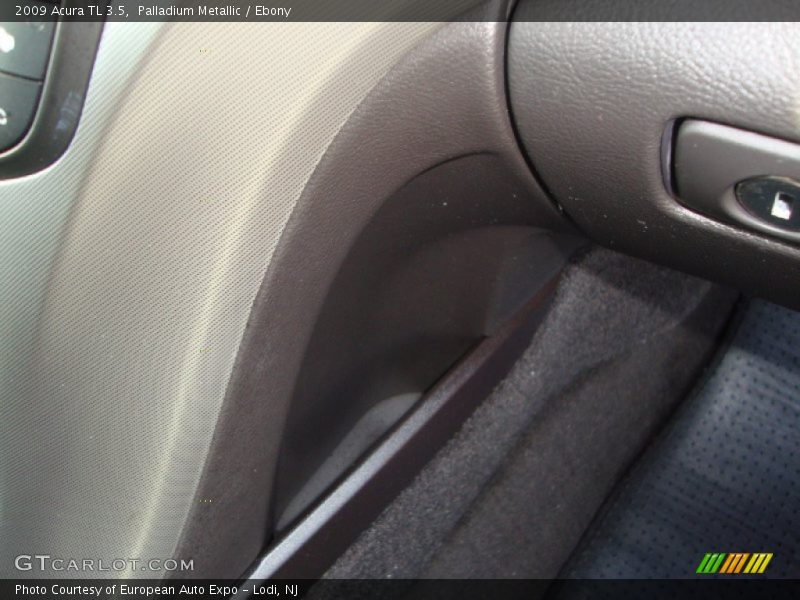 Palladium Metallic / Ebony 2009 Acura TL 3.5